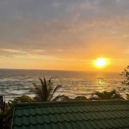 Villa Rasta - Ocean View Bungalows Port Antonio Exteriör bild