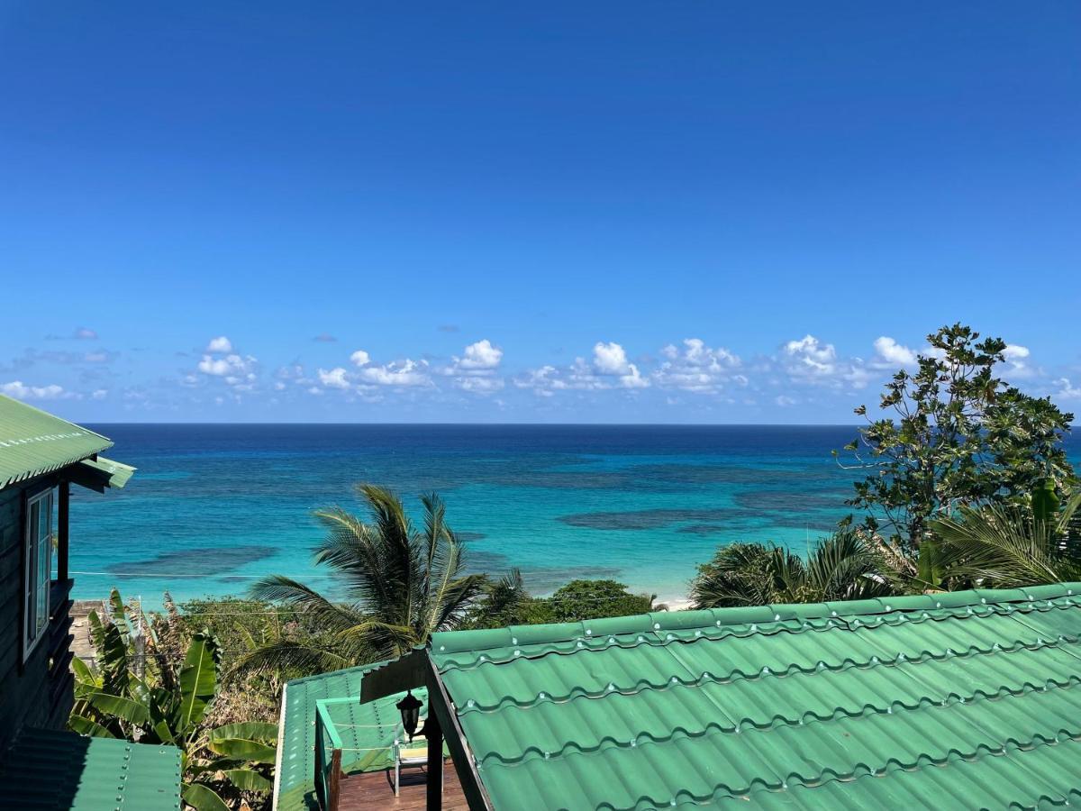 Villa Rasta - Ocean View Bungalows Port Antonio Exteriör bild