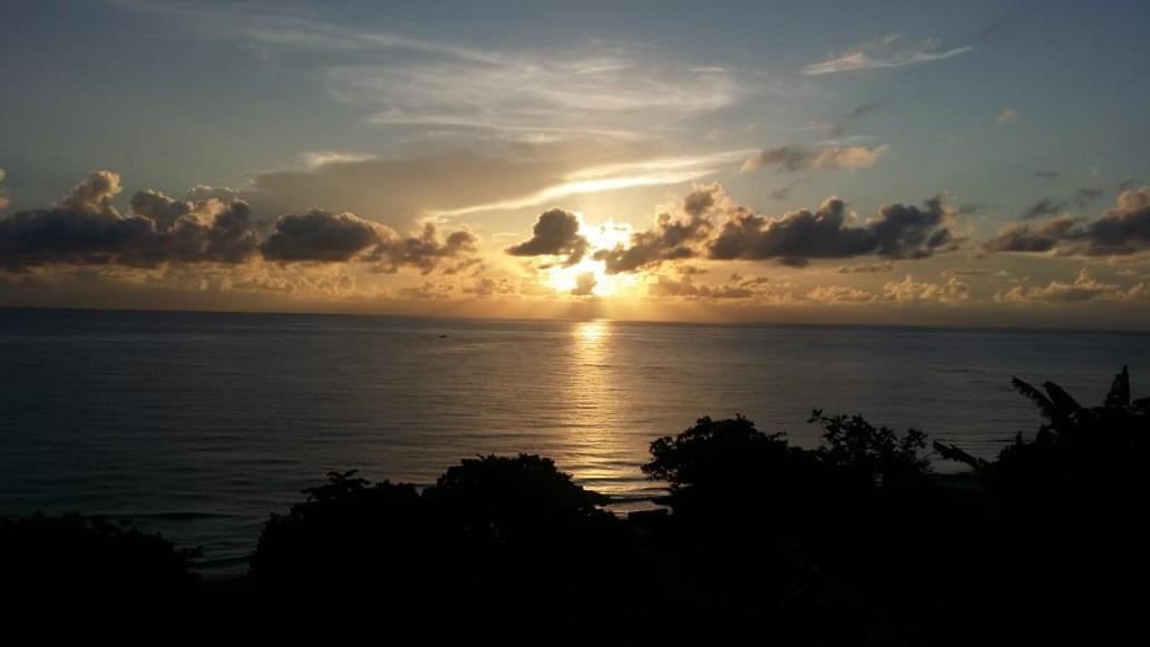 Villa Rasta - Ocean View Bungalows Port Antonio Exteriör bild